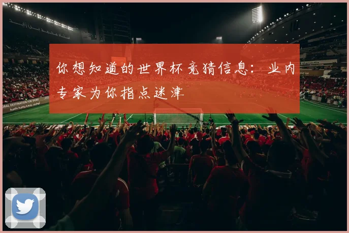 你想知道的世界杯竞猜信息:业内专家为你指点迷津