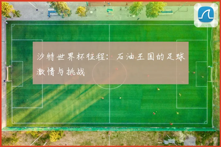 沙特世界杯征程：石油王国的足球激情与挑战