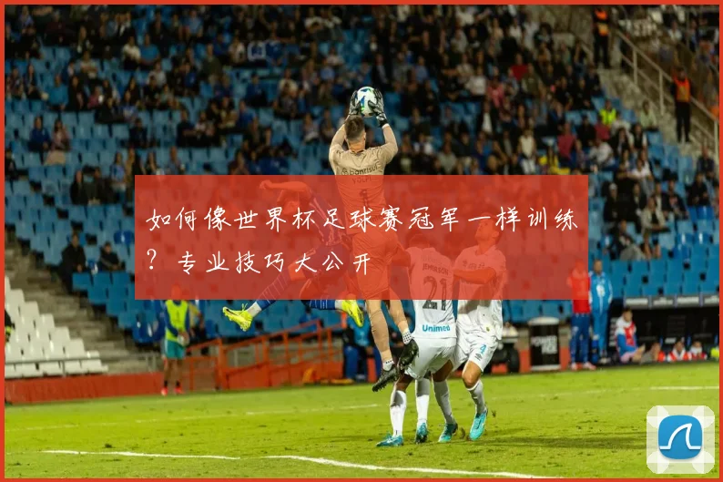 如何像世界杯足球赛冠军一样训练？专业技巧大公开