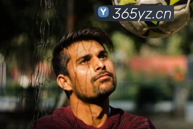 开云官方链接平台生态图